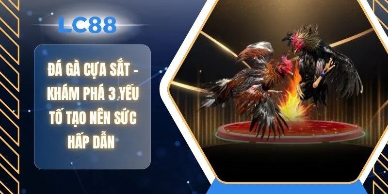 Đá Gà Cựa Sắt - Khám Phá 3 Yếu Tố Tạo Nên Sức Hấp Dẫn